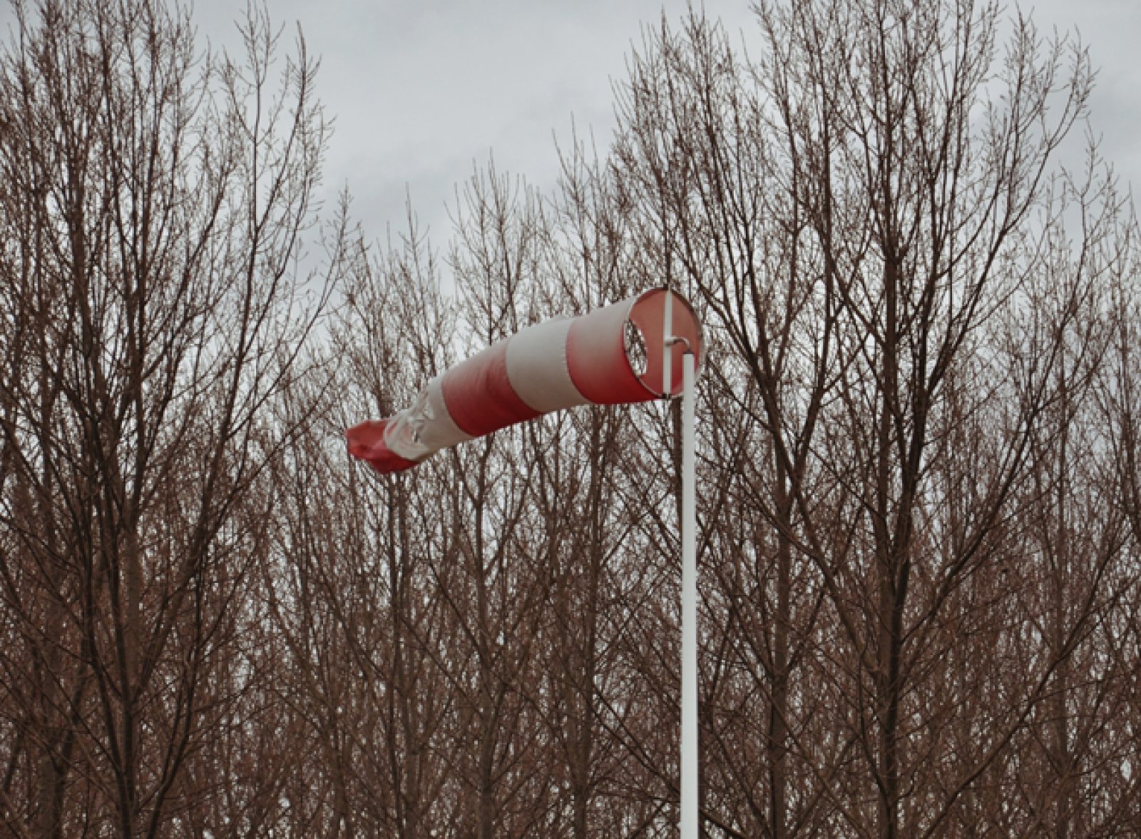 Mast voor draaimontuur/windmouw - alum. wit 6000 mm conisch 114/60 mm
